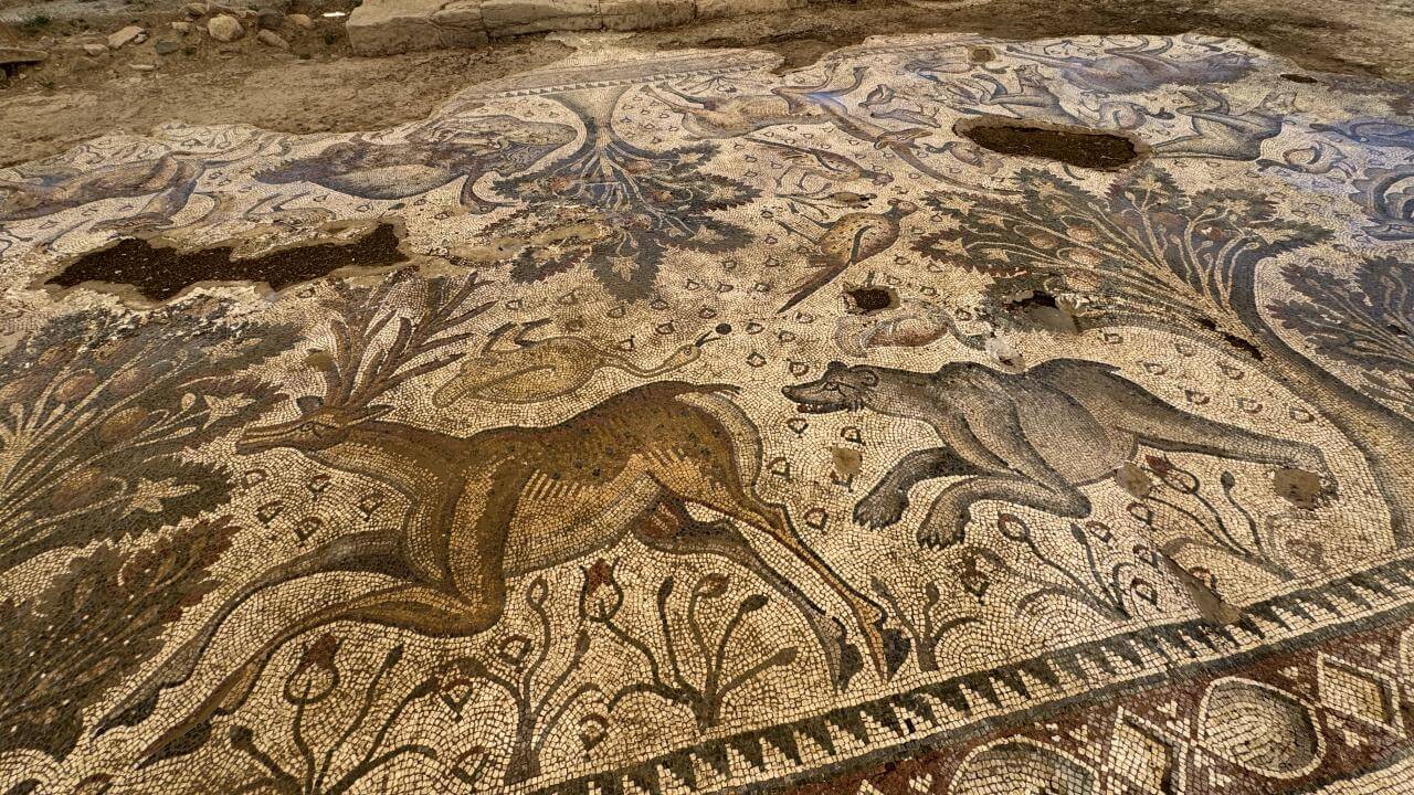 Mosaico de las termas halladas en Salkara