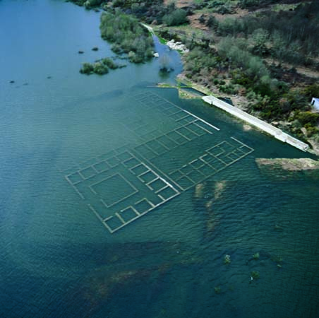 Aquis Querquennis inundada con la crecida del pantano