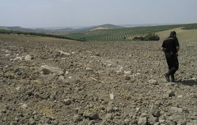 Zona de Ategua afectada por los destrozos