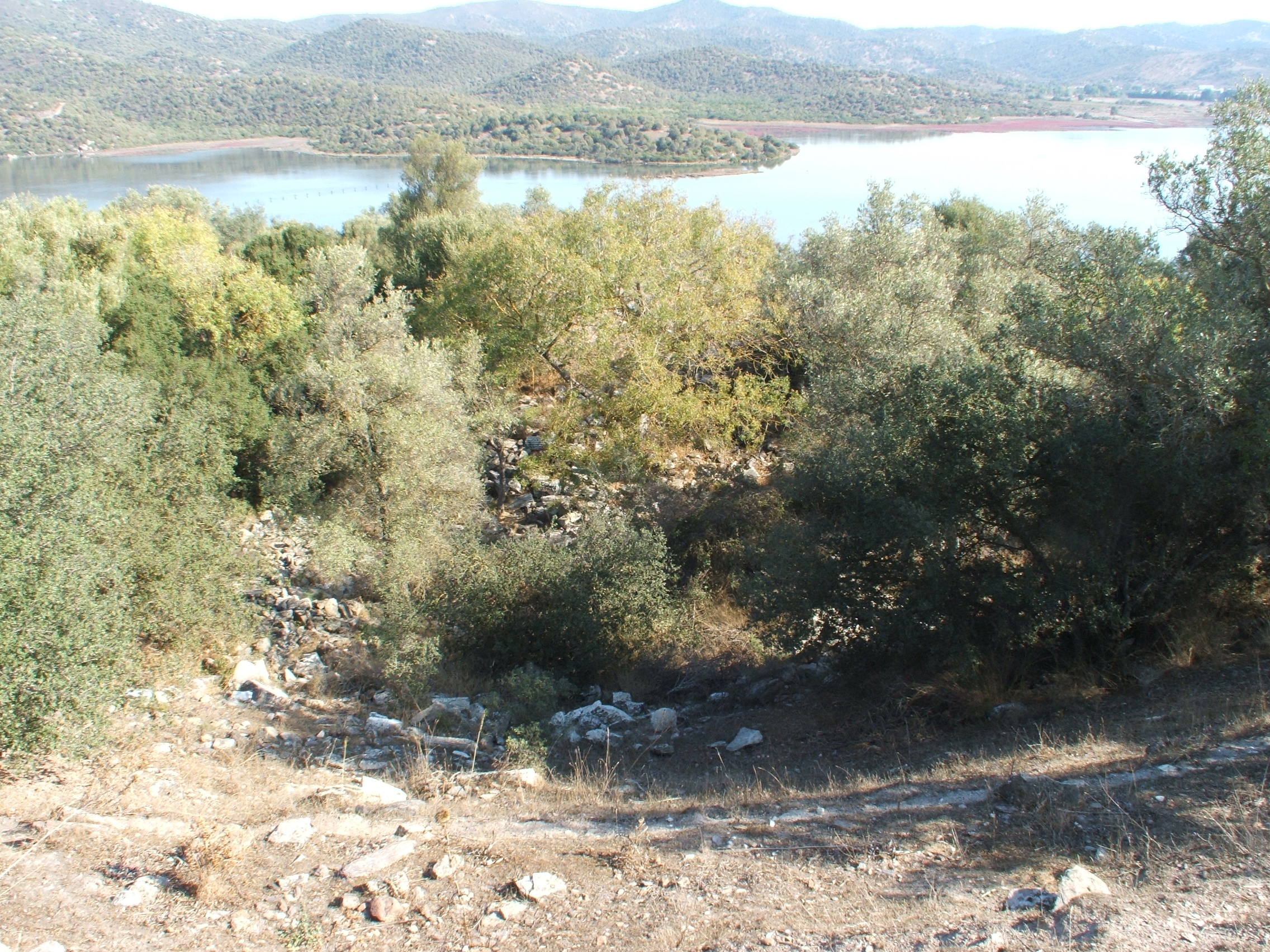 Terrenos que ocultan los restos de la ciudad de Bargilia