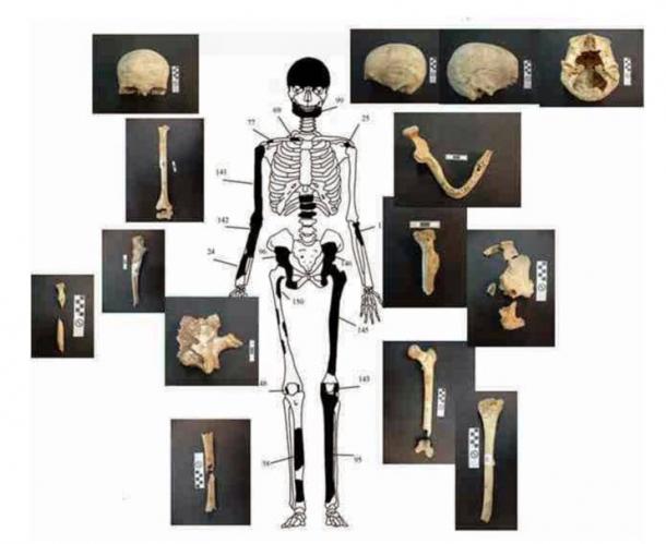 Reconstrucción de los huesos pertenecientes a la mujer enterrada en Anfípolis