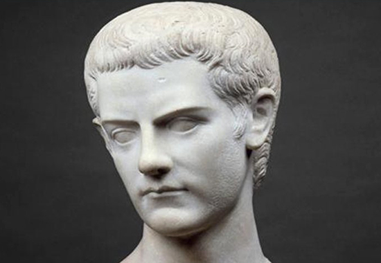 Busto de Calígula, Parte de la escultura de Calígula