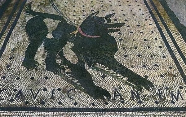 Mosaico del Cave Canem