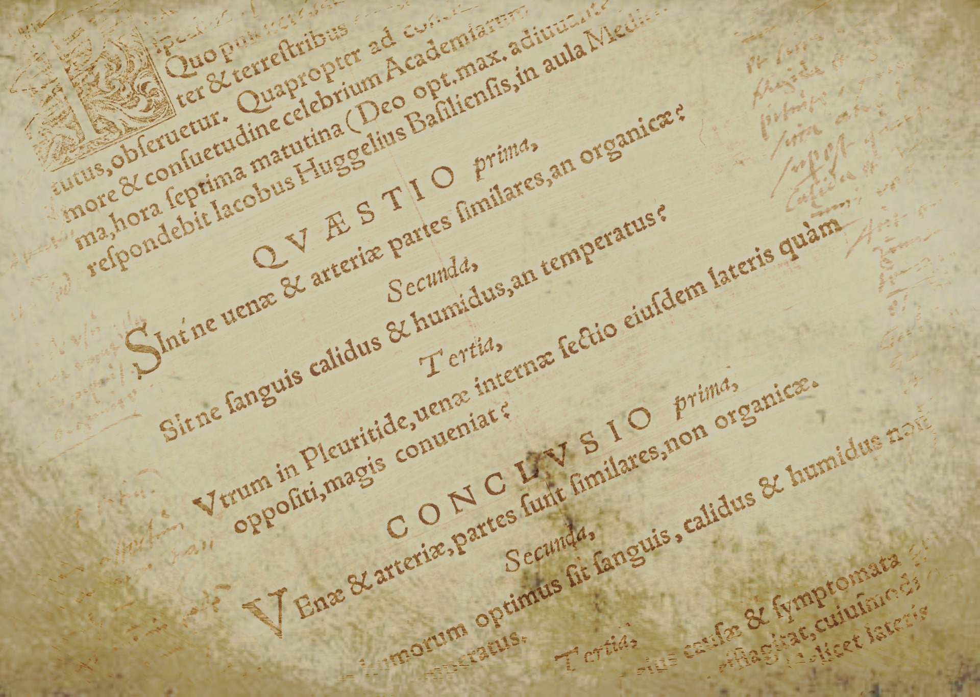 Frases en latin