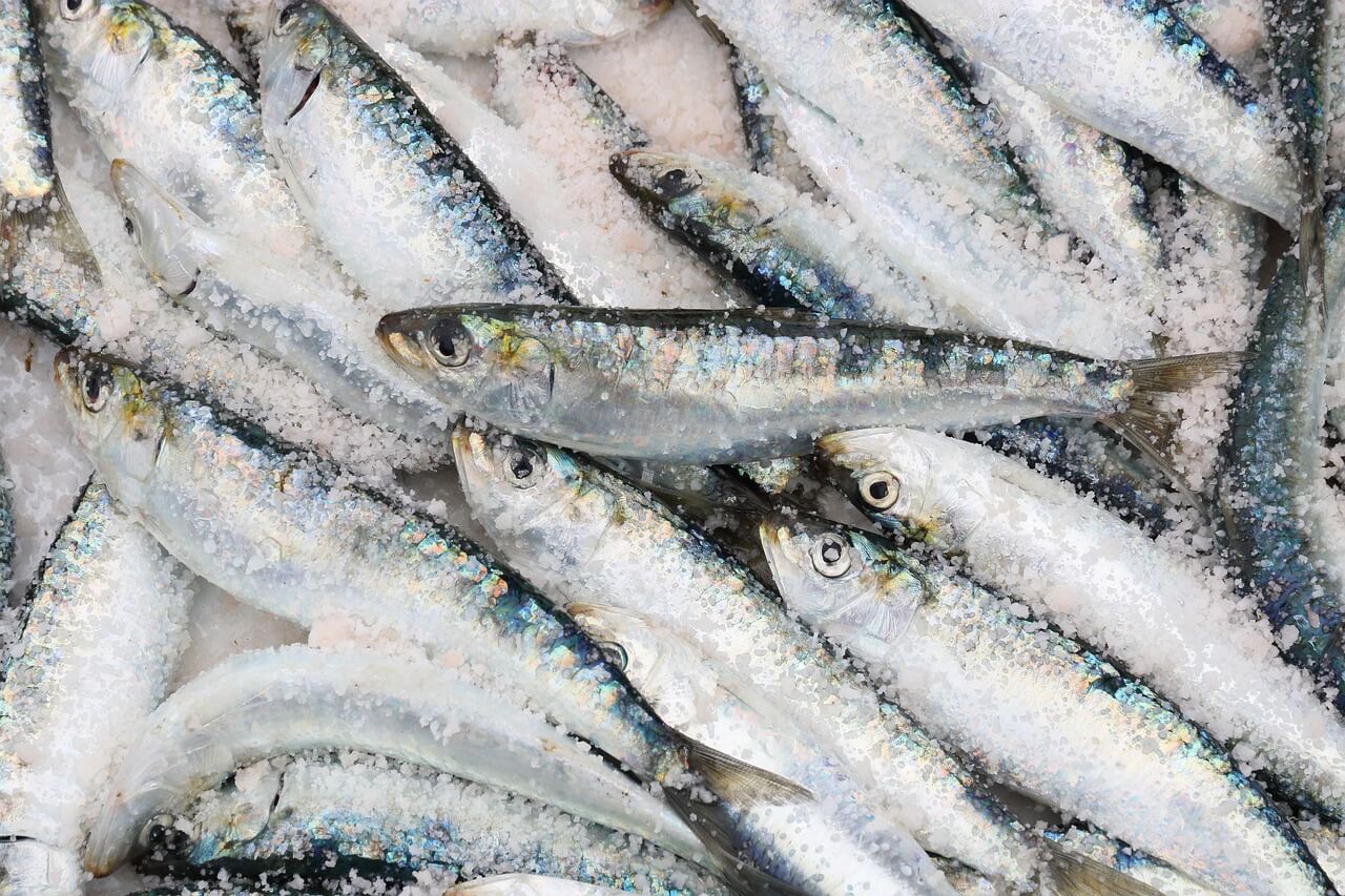El garum, la salsa de pescado que conquistó Roma