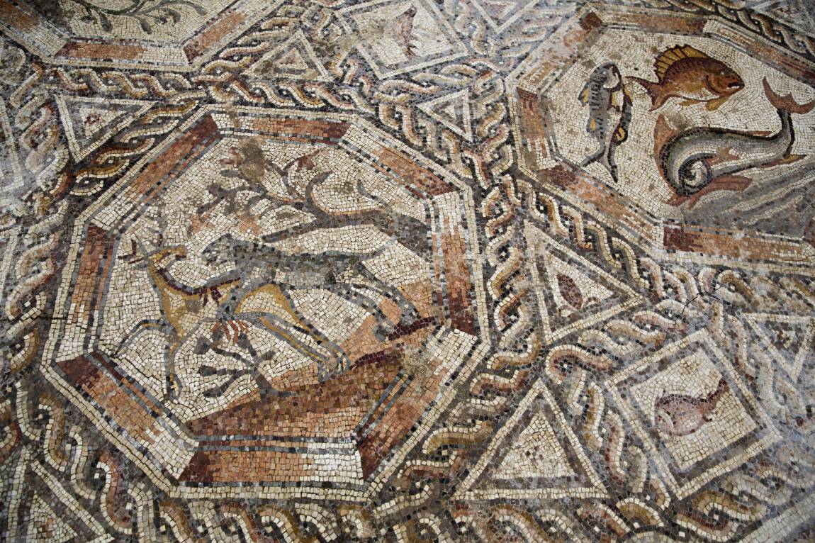 Detalle del mosaico de Lod