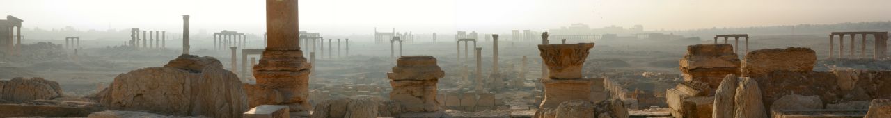 Panorámica Palmira