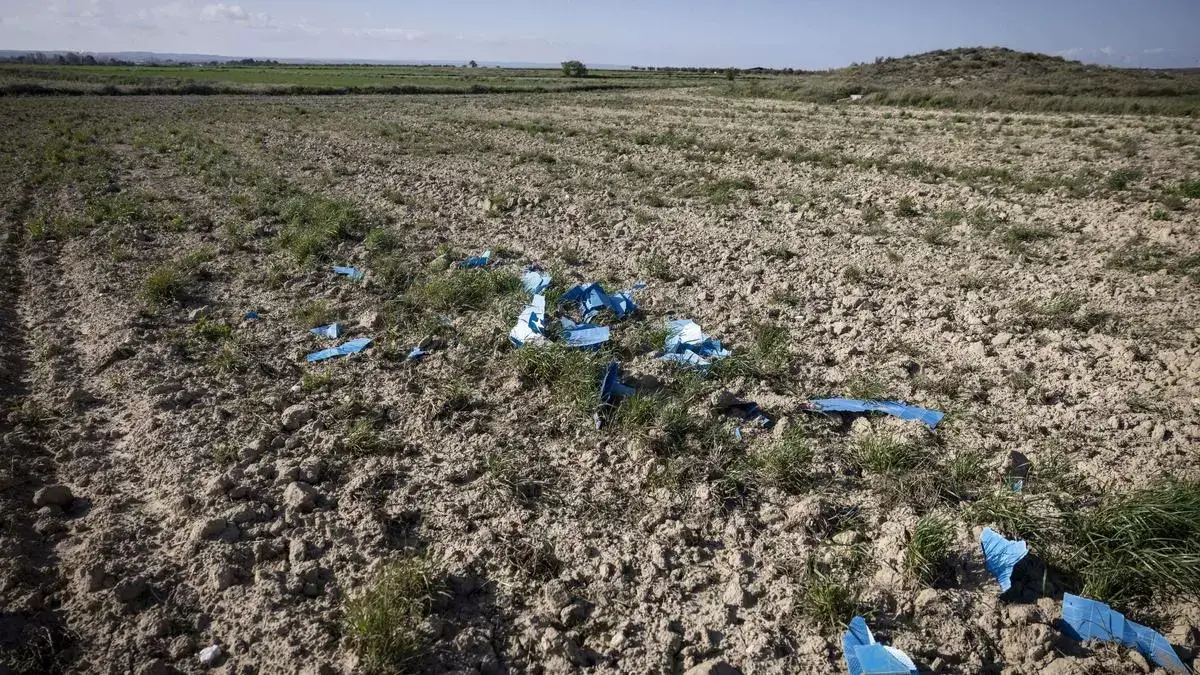 Tierras donde se han hallado los restos de una villa romana