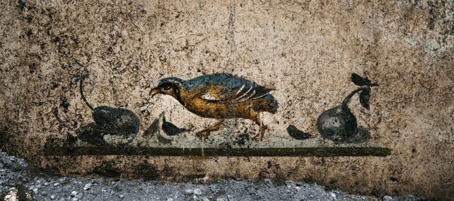 Pinturas de la casa de los delfines en Pompeya
