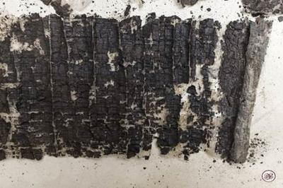 Papiro de la Villa de los Pisones