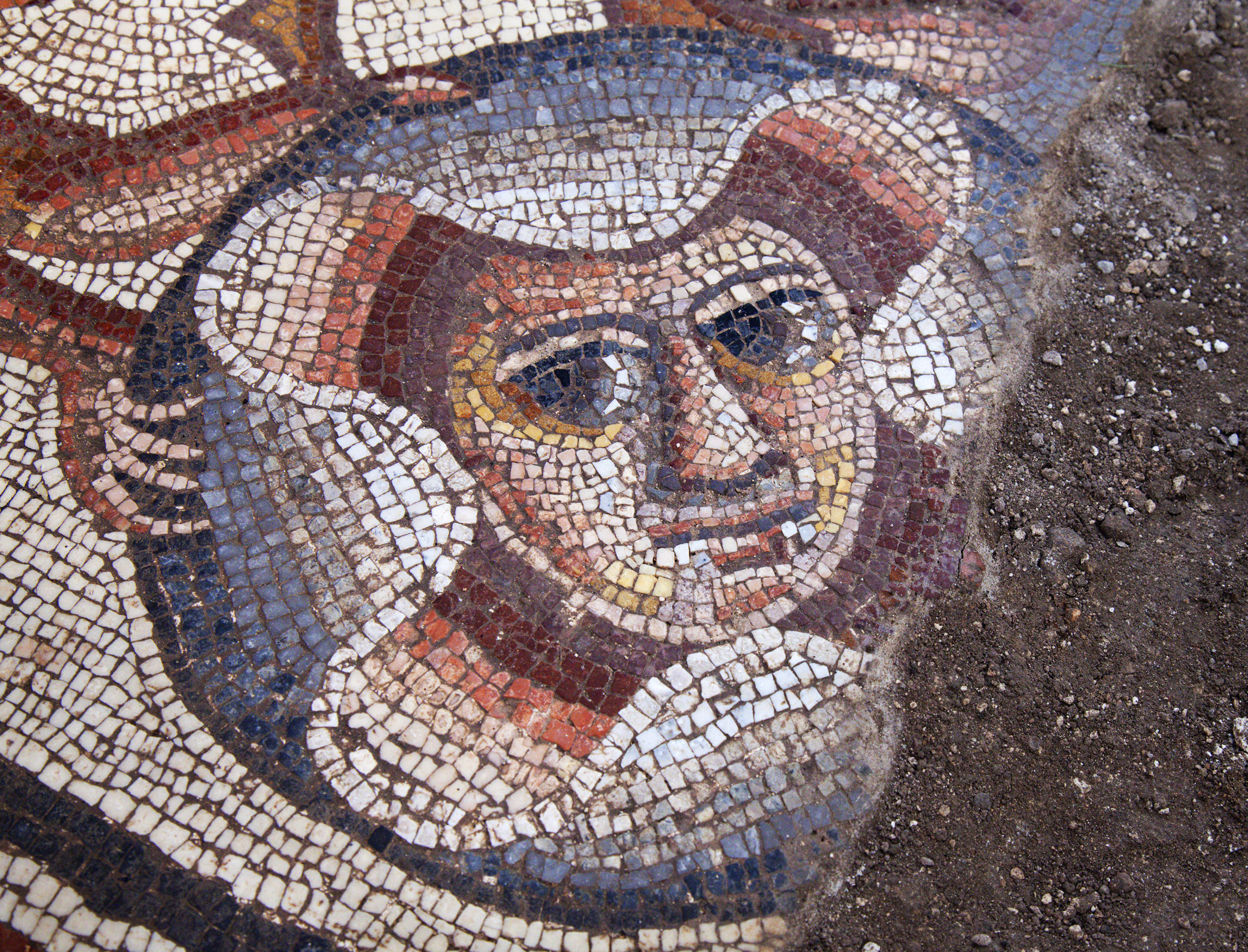 Detalle de uno de los mosaicos de la sinagoga de Huqoq