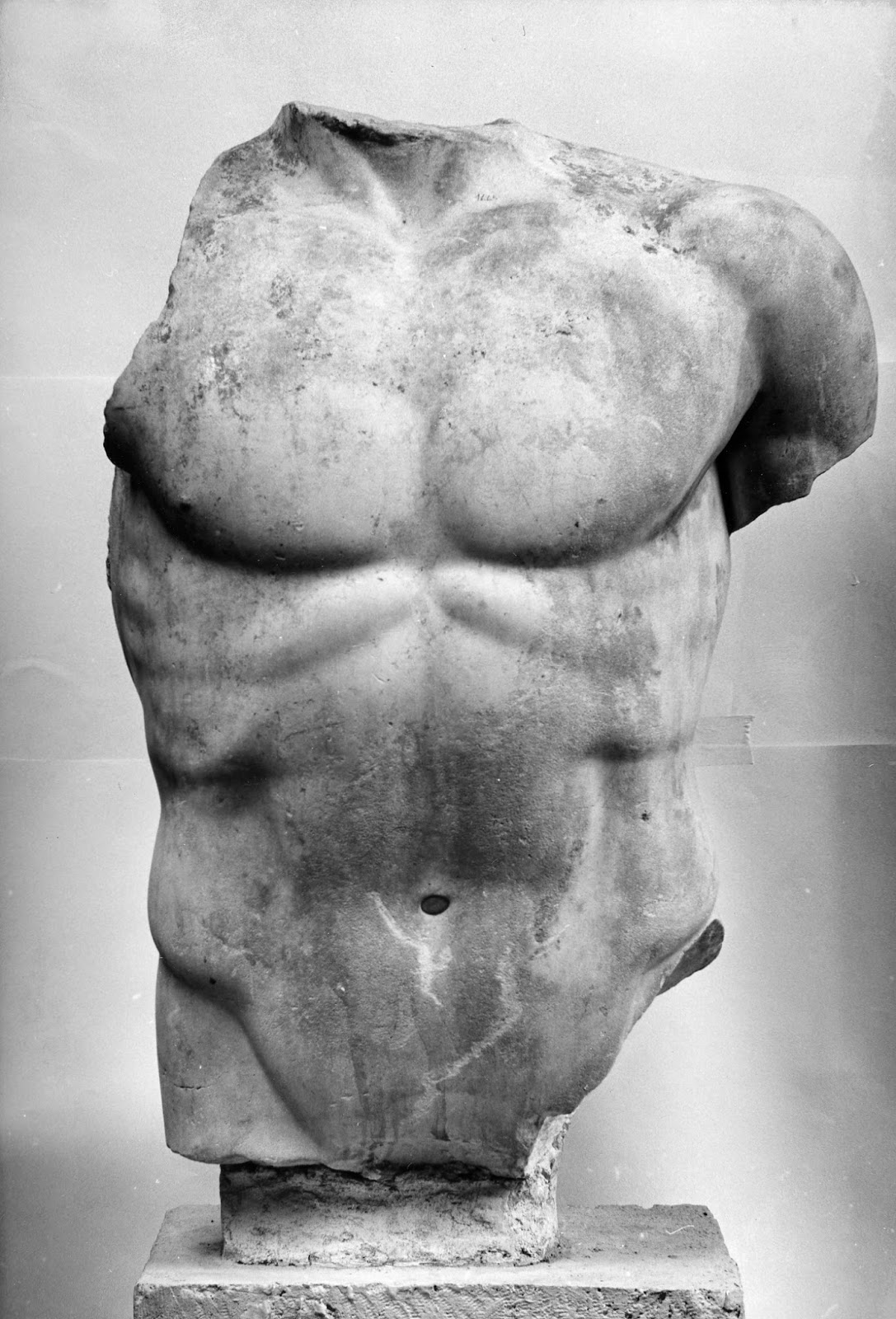 Torse desnudo