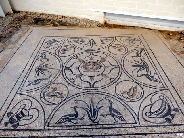 Mosaico de Medusa antes de su destrucción